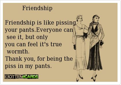 BEST FRIENDS QUOTES FUNNY image quotes at relatably.com