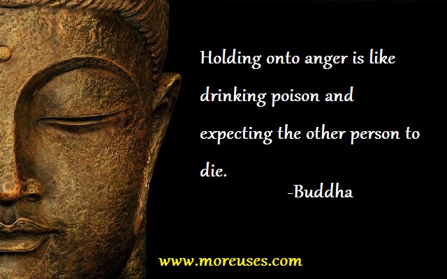 BUDDHA QUOTES ANGER IS LIKE image quotes at relatably.com