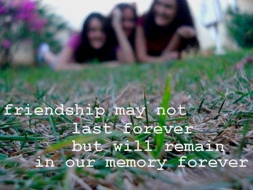 CUTE QUOTES ABOUT FRIENDSHIP AND MEMORIES image quotes at relatably.com