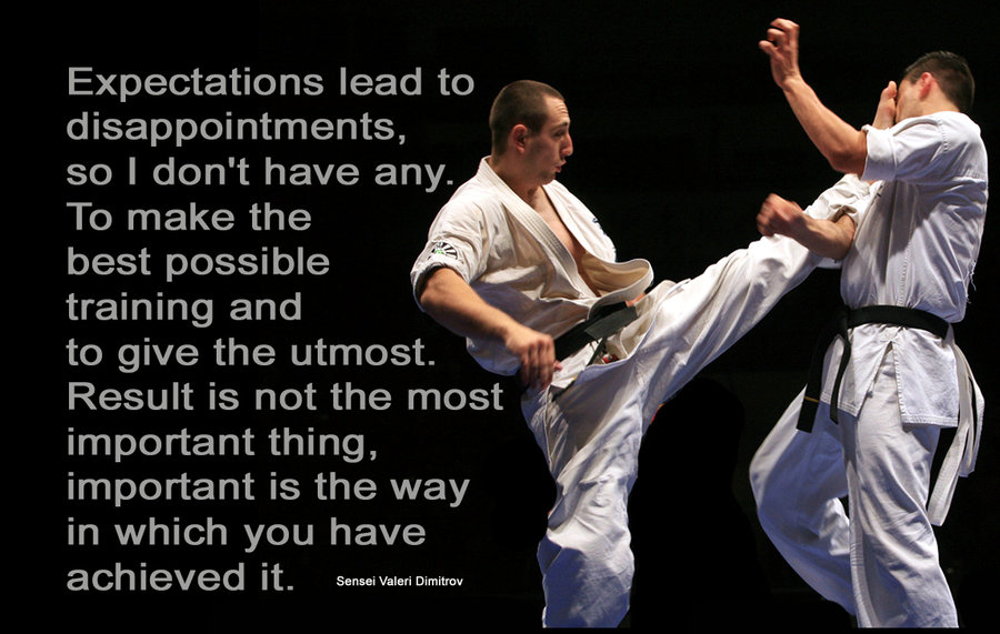 KARATE QUOTES image quotes at relatably.com