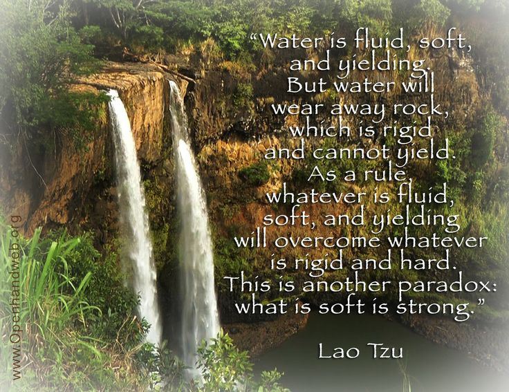 LAO TZU QUOTES WATER image quotes at relatably.com