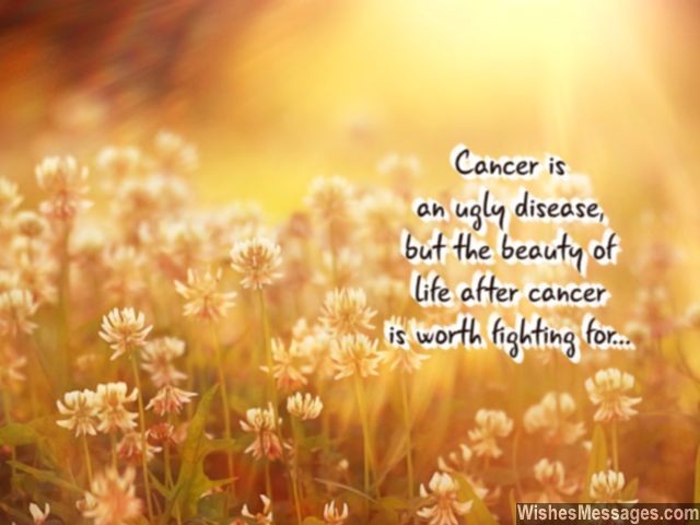 MOTIVATIONAL QUOTES TO FIGHT CANCER image quotes at relatably.com