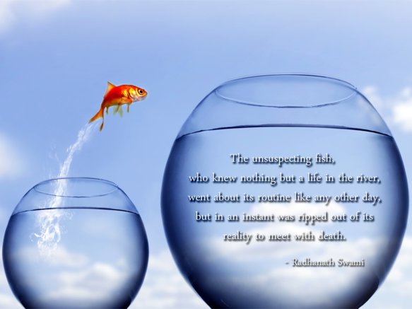 www.relatably.com/q/img/spiritual-quotes-about-life-after-death/Quotes-by-Radhanath-Swami-on-Death.jpg