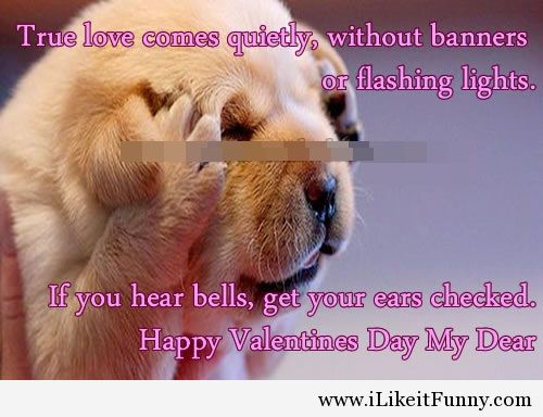 Valentines Day Quotes Funny For Friends