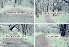 memories-are-what-warm-you-up-inside-but-they-re-also-what-tear-you-apart-quotes-from-Relatably-dot-com.jpg