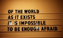 of-the-world-as-it-exists-it-is-impossible-to-be-enough-afraid-quotes-from-Relatably-dot-com.jpg