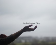 perfection-is-a-flaw-quotes-from-Relatably-dot-com.jpg