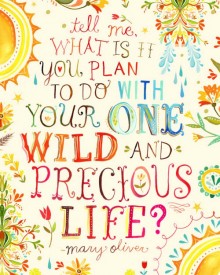 tell-me-what-is-it-you-plan-to-do-with-your-one-wild-and-precious-life-quotes-from-Relatably-dot-com.jpg