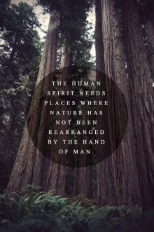 the-human-spirit-needs-places-where-nature-has-not-been-rearranged-by-the-hand-of-man-quotes-from-Relatably-dot-com.jpg