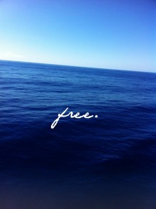 free1.jpg