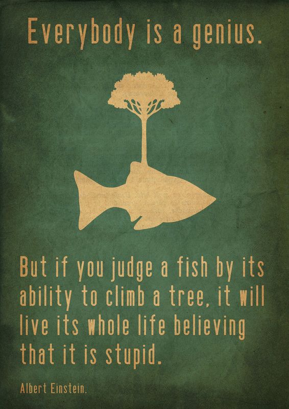 ALBERT EINSTEIN FISH QUOTE CANVAS image quotes at relatably.com