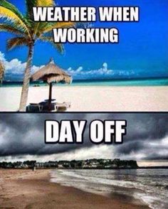 British Summer Funny Quotes Relatable Quotes Motivational Funny British Summer Funny Quotes At Relatably Com