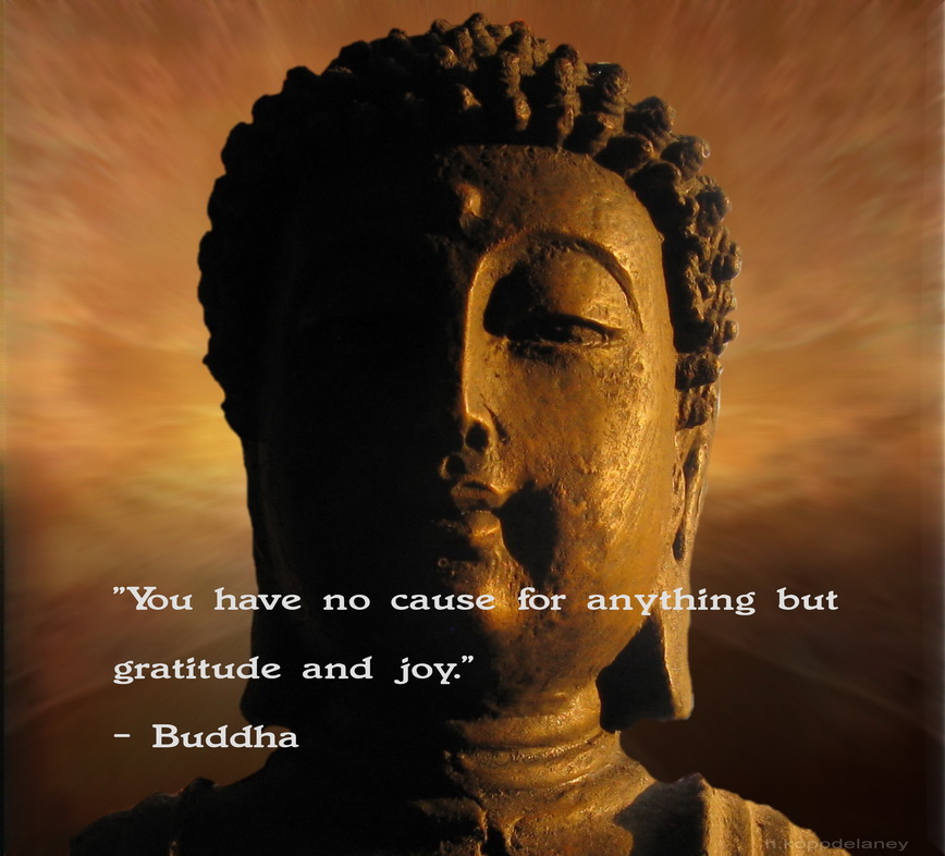 BUDDHIST QUOTES ON KINDNESS image quotes at relatably.com
