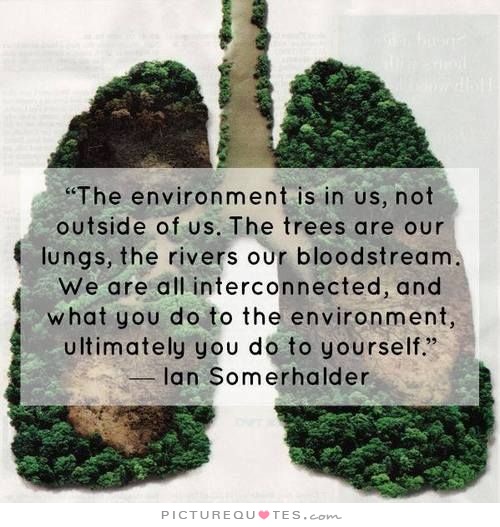 ENVIRONMENT QUOTES GREEN SAYINGS image quotes at relatably.com