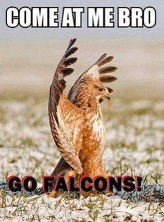 FALCONS QUOTES image quotes at relatably.com