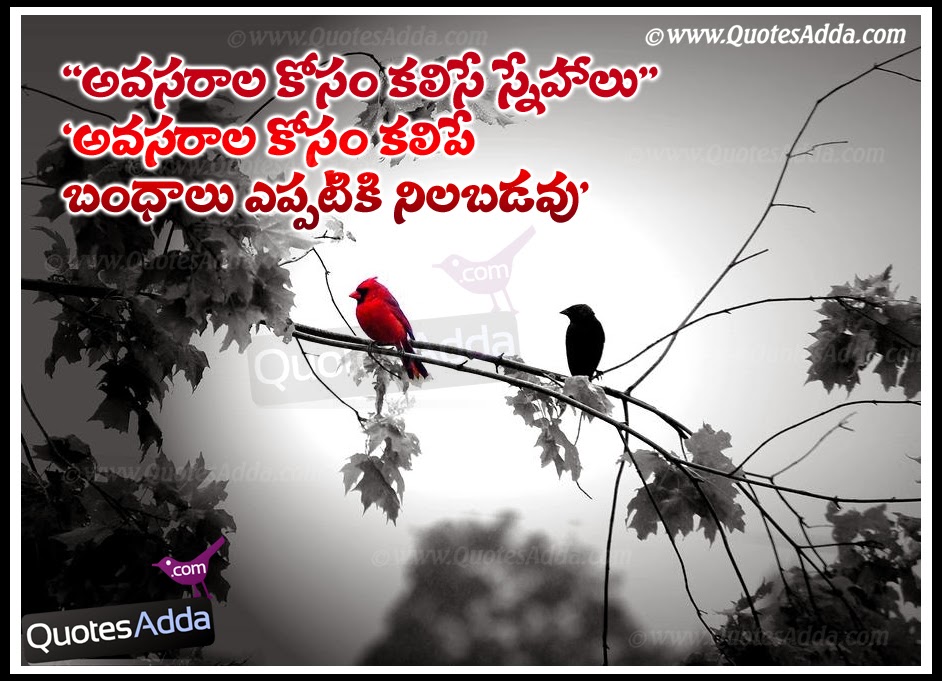 Friendship Sorry Quotes Hindi Relatable Quotes Motivational Funny Friendship Sorry Quotes Hindi At Relatably Com Friendship Sorry Quotes Hindi Relatable Quotes Motivational Funny Friendship Sorry Quotes Hindi At Relatably Com