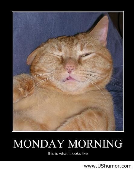 MONDAY-MORNING-QUOTES-FUNNY, relatable quotes, motivational funny ...