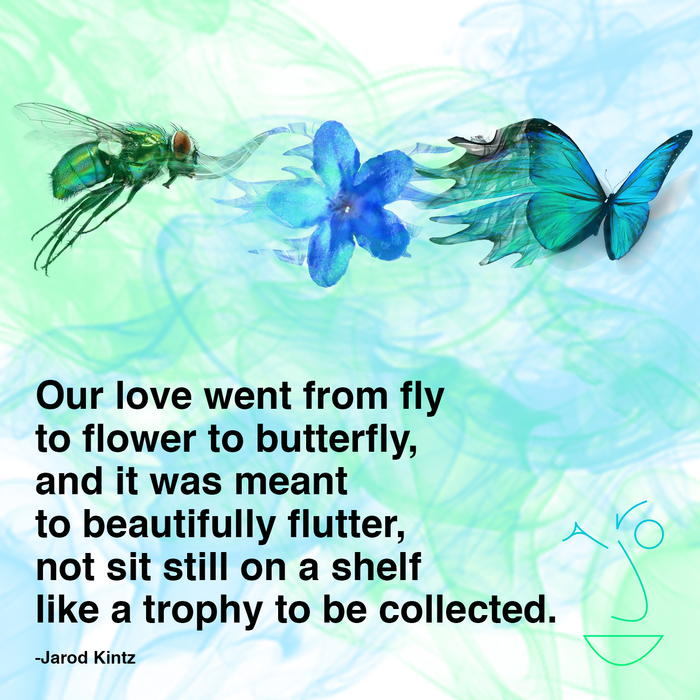 MOTHS AND BUTTERFLIES QUOTES image quotes at relatably.com