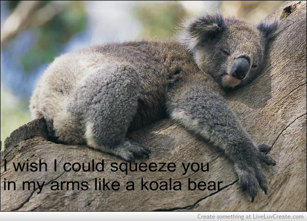 NIGEL KOALA QUOTES image quotes at relatably.com