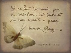 Romain Gary Quotes Relatable Quotes Motivational Funny Romain Gary Quotes At Relatably Com