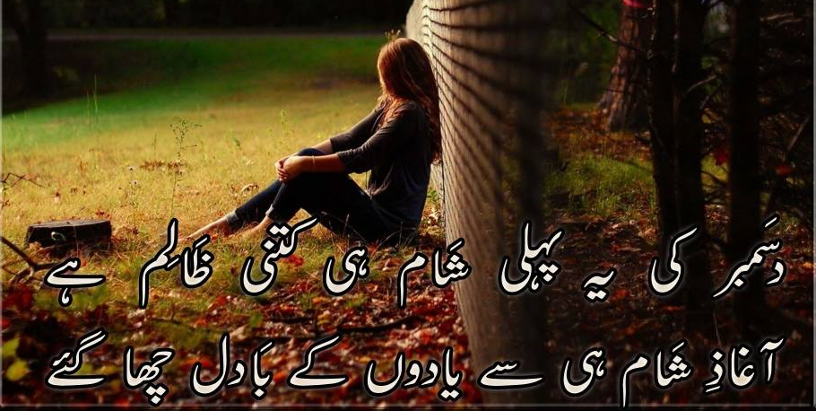 short love quotes in urdu