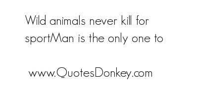 Herbivores wild animal best blog: Famous quotes on wild animals