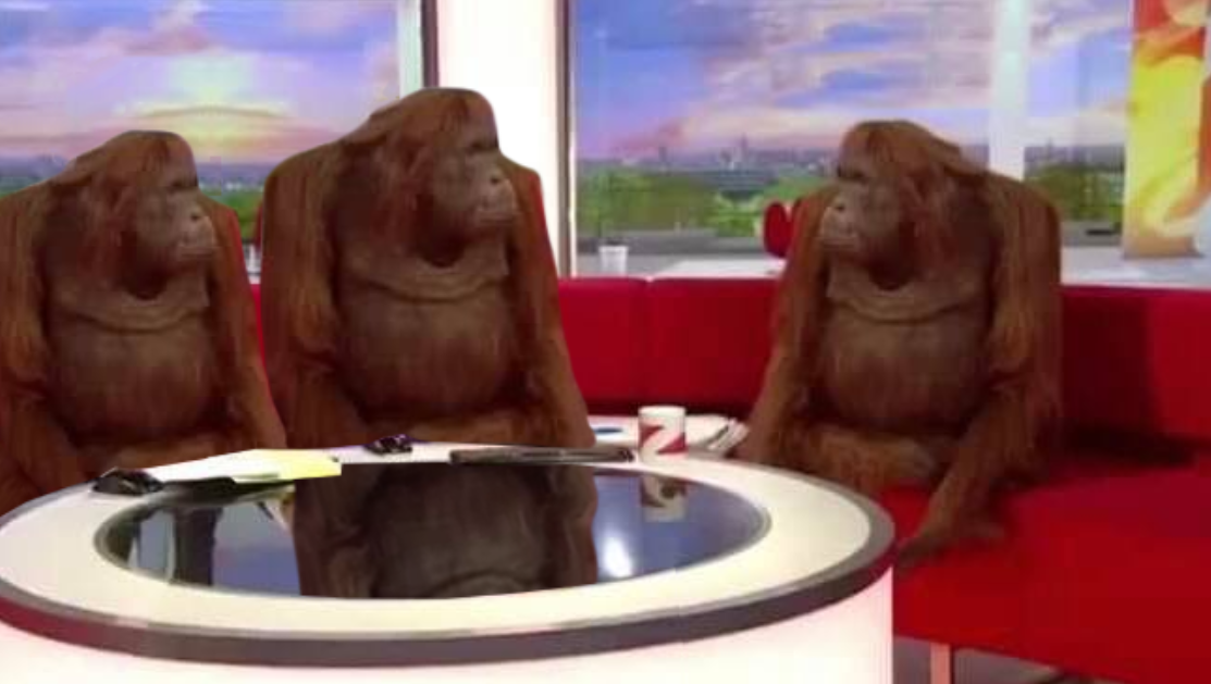 where monkey blank meme template