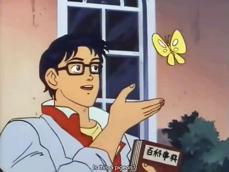 ANIME BUTTERFLY MEME blank meme template