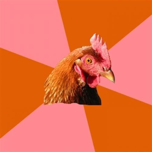 Anti Joke Chicken blank meme template