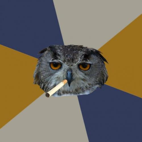 Art Student Owl blank meme template