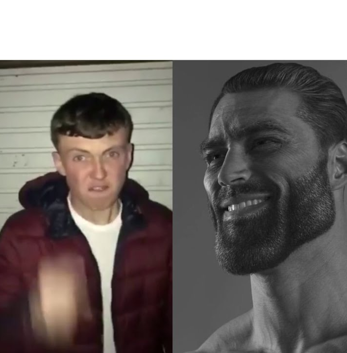Average Fan vs Average Enjoyer blank meme template