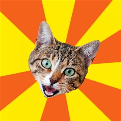 Bad Advice Cat blank meme template
