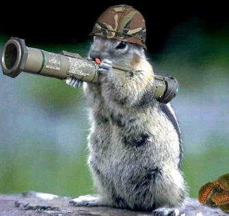 Bazooka Squirrel blank meme template