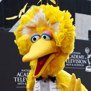 Big Bird blank meme template