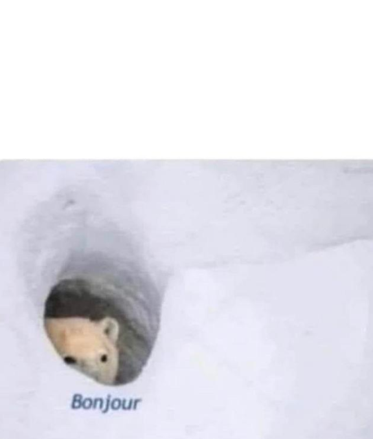 Bonjour blank meme template