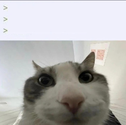 Cat looks inside blank meme template