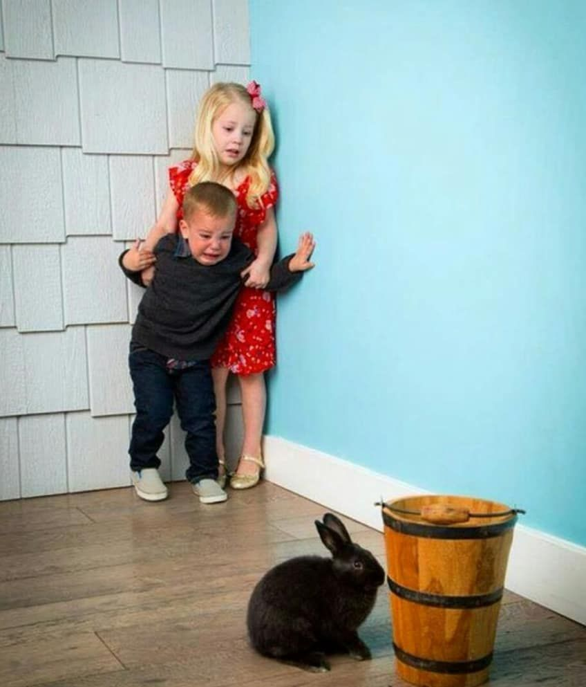 Children scared of rabbit blank meme template