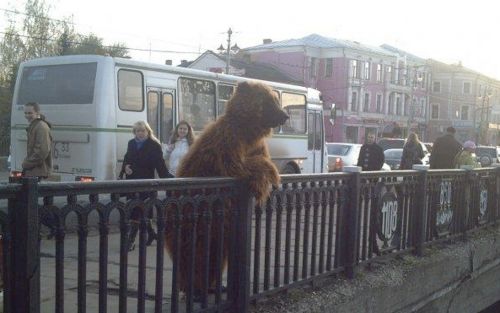 City Bear blank meme template