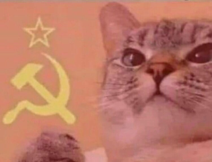 Communist cat blank meme template