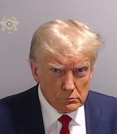 Donald Trump Mugshot blank meme template