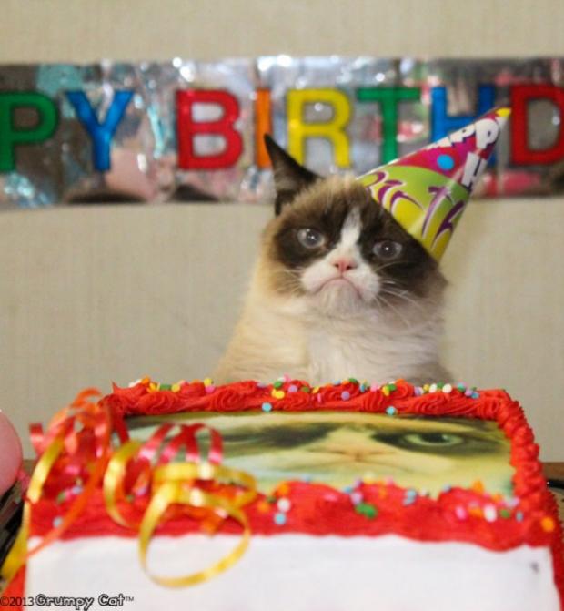 Grumpy Cat Birthday blank meme template
