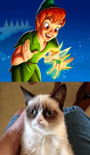 Grumpy Cat Does Not Believe blank meme template