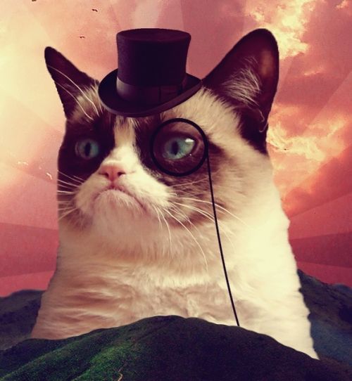 Grumpy Cat Top Hat blank meme template