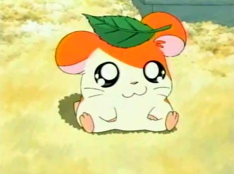 Hamtaro blank meme template