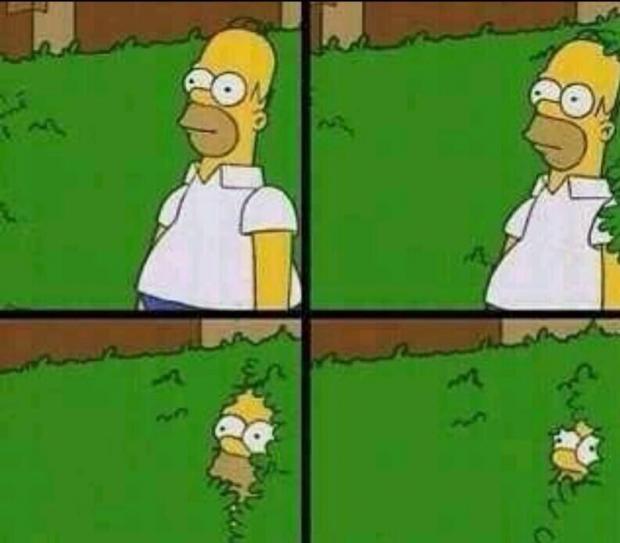 Homer Simpson in Bush - Large blank meme template