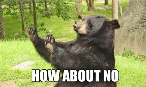How About No Bear blank meme template