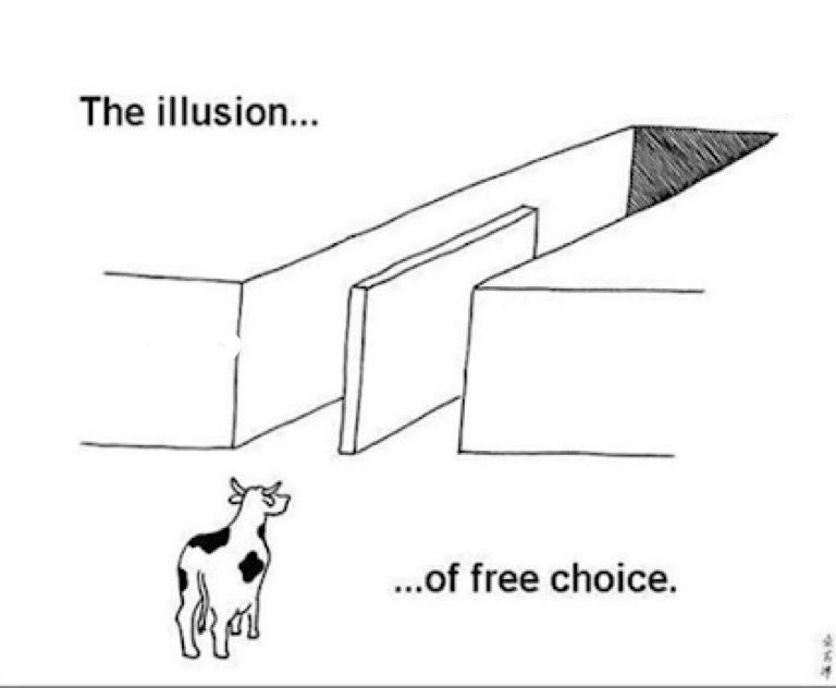 Illusion of free choice blank meme template