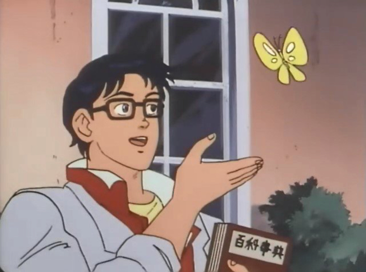 Is this a bird? blank meme template