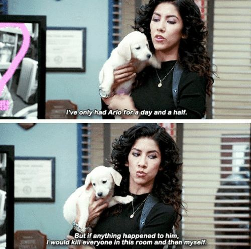 I've only had Arlo for a day and a half blank meme template