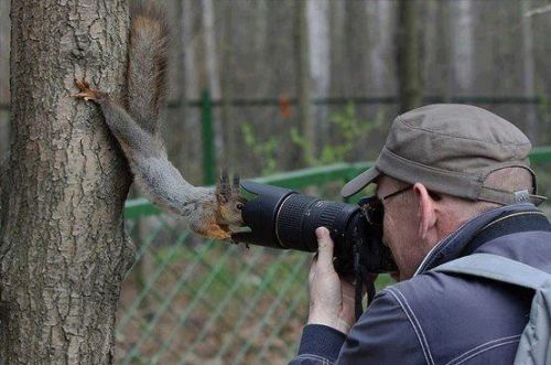 Jehovas Witness Squirrel blank meme template